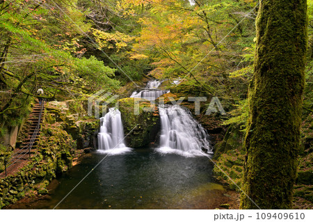 赤目四十八滝 荷担滝(三重県名張市赤目町) 赤目四十八滝 荷担滝(三重県名張市赤目町) 109409610