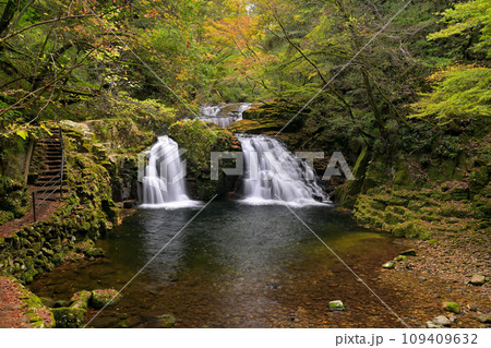 赤目四十八滝  荷担滝（三重県名張市赤目町） 109409632