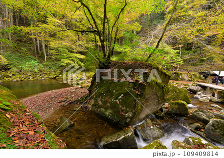 赤目四十八滝  七色岩（三重県名張市赤目町） 109409814