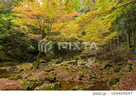 赤目四十八滝  紅葉の景色（三重県名張市赤目町） 109409847