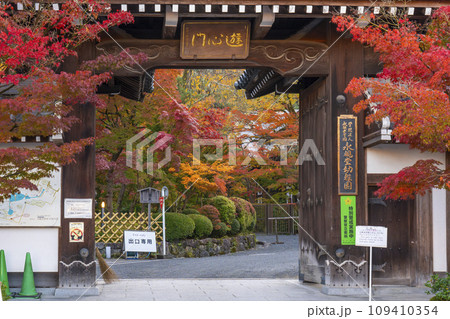 秋の京都 素晴らしい紅葉の永観堂 南門(遊心門) 秋の京都 素晴らしい紅葉の永観堂 南門(遊心門) 109410354