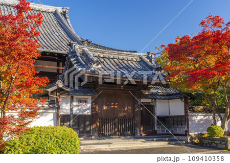 秋の京都　素晴らしい紅葉の智福院　正門 109410358