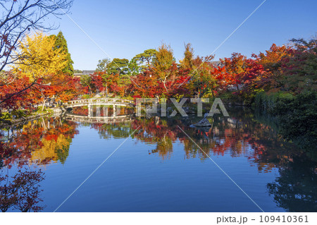 秋の京都 永観堂(禅林寺)放生池にある弁天社と紅葉 秋の京都 永観堂(禅林寺)放生池にある弁天社と紅葉 109410361