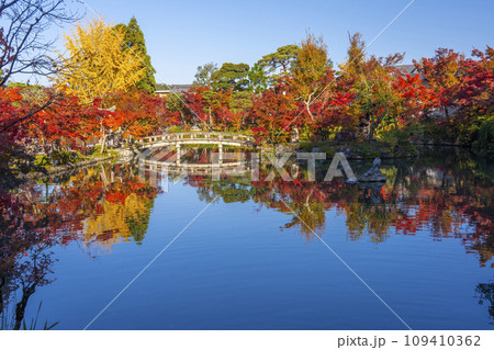 秋の京都 永観堂(禅林寺)放生池にある弁天社と紅葉 秋の京都 永観堂(禅林寺)放生池にある弁天社と紅葉 109410362