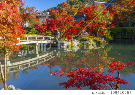 秋の京都 永観堂(禅林寺)放生池にある弁天社と紅葉 秋の京都 永観堂(禅林寺)放生池にある弁天社と紅葉 109410367