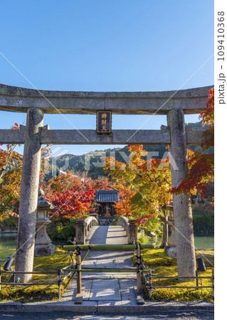 秋の京都　永観堂（禅林寺）放生池にある弁天社と紅葉 109410368