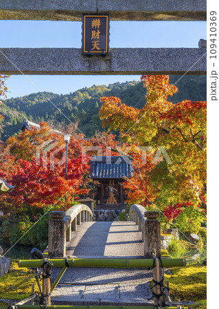 秋の京都　永観堂（禅林寺）放生池にある弁天社と紅葉 109410369