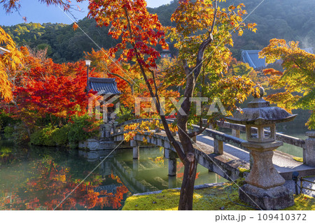 秋の京都 永観堂(禅林寺)放生池にある弁天社と紅葉 秋の京都 永観堂(禅林寺)放生池にある弁天社と紅葉 109410372