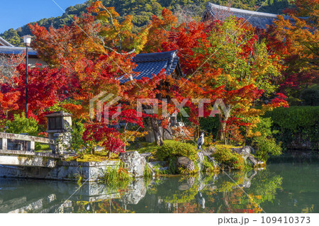 秋の京都 永観堂(禅林寺)放生池にある弁天社と紅葉 秋の京都 永観堂(禅林寺)放生池にある弁天社と紅葉 109410373