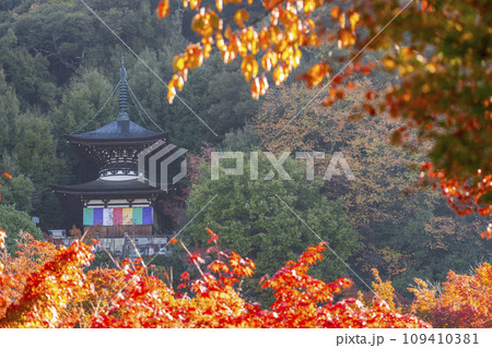 秋の京都 永観堂(禅林寺)紅葉と多宝塔 秋の京都 永観堂(禅林寺)紅葉と多宝塔 109410381