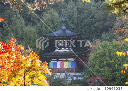 秋の京都 永観堂(禅林寺)紅葉と多宝塔 秋の京都 永観堂(禅林寺)紅葉と多宝塔 109410384