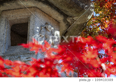 秋の京都　永観堂（禅林寺）紅葉と石灯籠 109410389