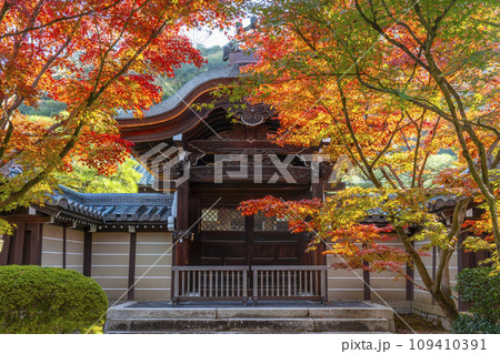 秋の京都 永観堂(禅林寺)美しい紅葉と唐門 秋の京都 永観堂(禅林寺)美しい紅葉と唐門 109410391