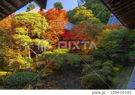 秋の京都 永観堂(禅林寺)紅葉が美しい釈迦堂前内庭 秋の京都 永観堂(禅林寺)紅葉が美しい釈迦堂前内庭 109410395