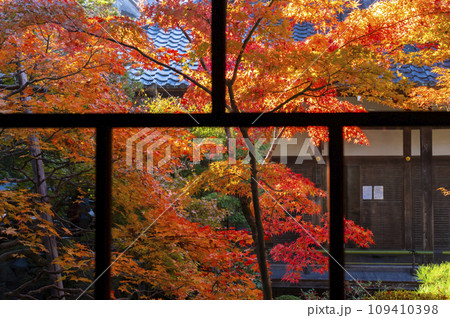 秋の京都　永観堂（禅林寺）紅葉が美しい釈迦堂前内庭 109410398