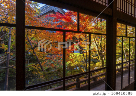 秋の京都　永観堂（禅林寺）紅葉が美しい釈迦堂前内庭 109410399