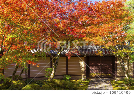 秋の京都永観堂（禅林寺）紅葉が映える庭と門 109410409