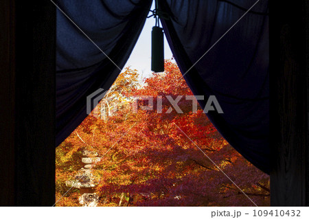秋の京都 永観堂(禅林寺) 寺院幕から見える紅葉 秋の京都 永観堂(禅林寺) 寺院幕から見える紅葉 109410432