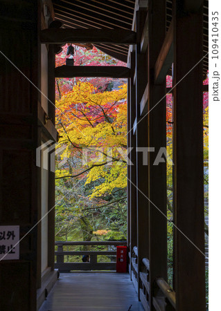 秋の京都 永観堂(禅林寺) 回廊と紅葉 秋の京都 永観堂(禅林寺) 回廊と紅葉 109410435