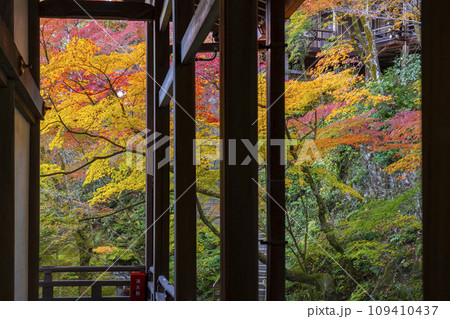 秋の京都　永観堂（禅林寺）　回廊と紅葉 109410437