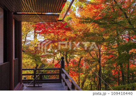 秋の京都　永観堂（禅林寺）　回廊と紅葉 109410440