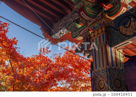 永観堂（禅林寺）　阿弥陀堂　極楽浄土の荘厳を表現した色彩 109410451