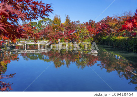 秋の京都 永観堂(禅林寺)放生池にある弁天社と紅葉 秋の京都 永観堂(禅林寺)放生池にある弁天社と紅葉 109410454