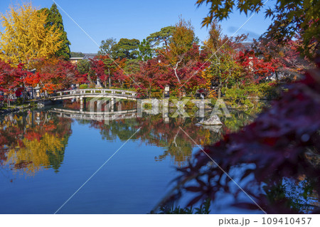 秋の京都 永観堂(禅林寺)放生池にある弁天社と紅葉 秋の京都 永観堂(禅林寺)放生池にある弁天社と紅葉 109410457