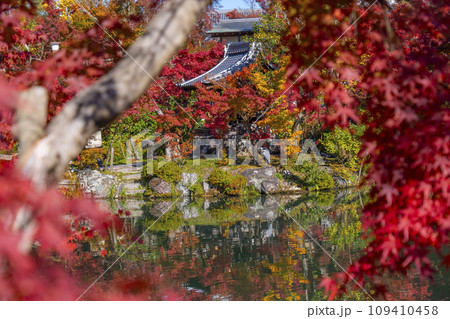 秋の京都 永観堂(禅林寺)放生池にある弁天社と紅葉 秋の京都 永観堂(禅林寺)放生池にある弁天社と紅葉 109410458