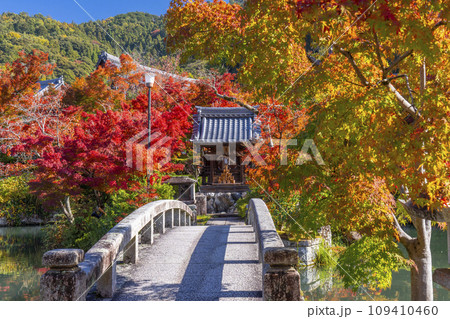 秋の京都　永観堂（禅林寺）放生池にある弁天社と紅葉 109410460