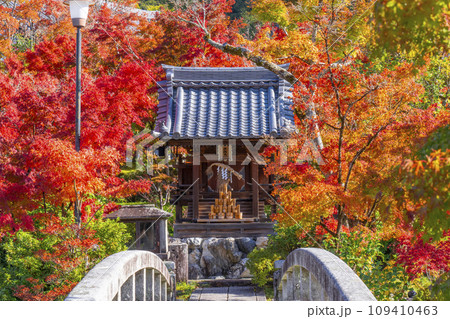 秋の京都 永観堂(禅林寺)放生池にある弁天社と紅葉 秋の京都 永観堂(禅林寺)放生池にある弁天社と紅葉 109410463