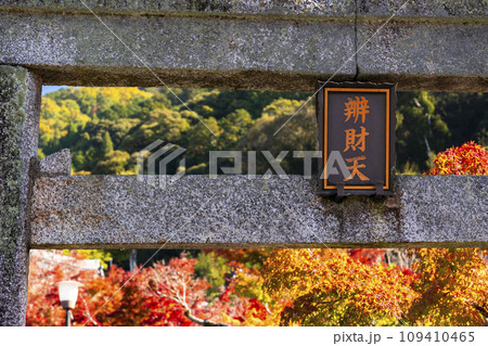 秋の京都 永観堂(禅林寺)放生池にある弁天社と紅葉 秋の京都 永観堂(禅林寺)放生池にある弁天社と紅葉 109410465