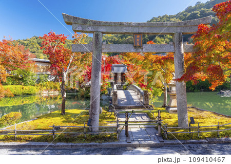 秋の京都 永観堂(禅林寺)放生池にある弁天社と紅葉 秋の京都 永観堂(禅林寺)放生池にある弁天社と紅葉 109410467