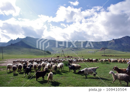 モンゴルの大平原の遊牧風景 モンゴルの大平原の遊牧風景 109410504