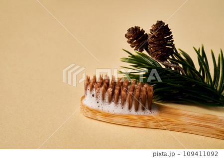 Toothbrush with toothpaste foam on a background of pine needles and cones. 109411092