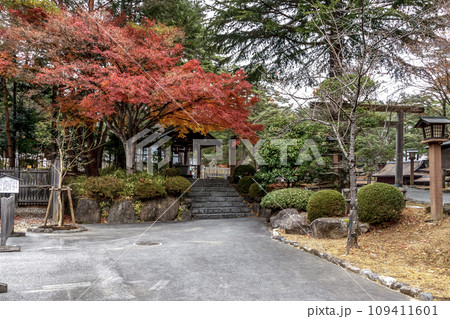 紅葉に染まる古神道本宮がある身曾岐神社境内【秋期】 紅葉に染まる古神道本宮がある身曾岐神社境内【秋期】 109411601