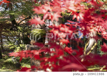 秋の京都 永観堂(禅林寺) 紅葉と石灯籠 秋の京都 永観堂(禅林寺) 紅葉と石灯籠 109411986