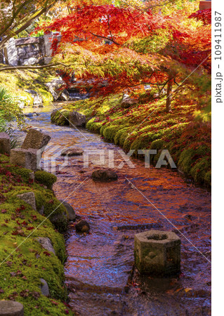 秋の京都 永観堂(禅林寺) 楓橋からの眺め 秋の京都 永観堂(禅林寺) 楓橋からの眺め 109411987