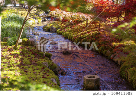 秋の京都　永観堂（禅林寺）　楓橋からの眺め 109411988