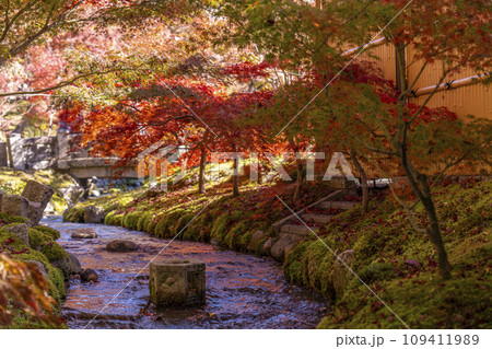秋の京都　永観堂（禅林寺）　楓橋からの眺め 109411989