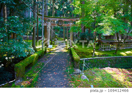 日用神社　苔の里　小松市 109412466