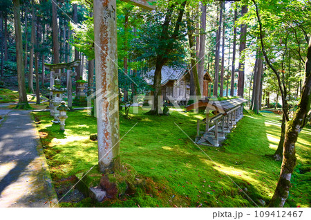 日用神社　苔の里　小松市 109412467