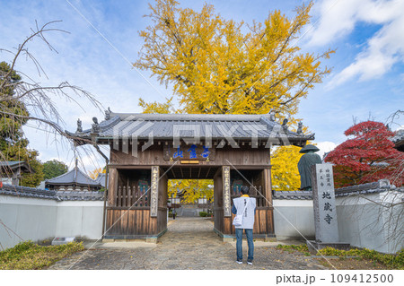 【第5番札所】地蔵寺 山門【四国八十八箇所】 【第5番札所】地蔵寺 山門【四国八十八箇所】 109412500