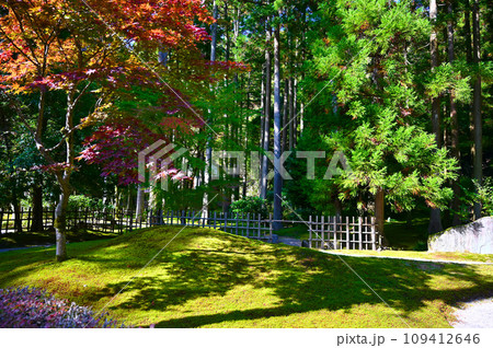 叡智の杜　苔の里　小松市 109412646