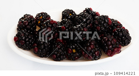 Fresh bramble on white background Fresh bramble on white background 109414221