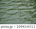 背景素材　波打つ水面 109414311