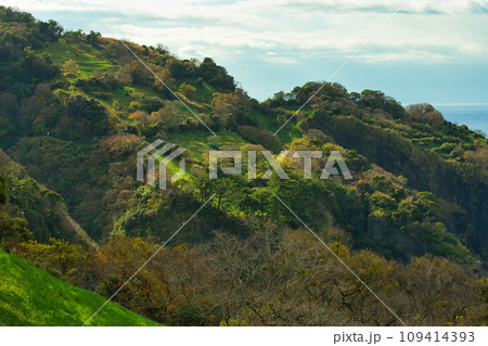 冬まじかの日本海 109414393