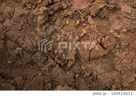 Closeup view of dry cracked soil 109414631