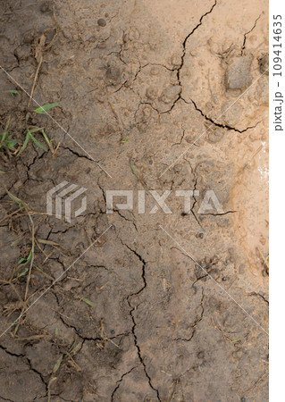 Closeup view of dry cracked soil 109414635