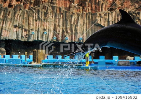 イルカのジャンプの時の水の雫 イルカのジャンプの時の水の雫 109416902